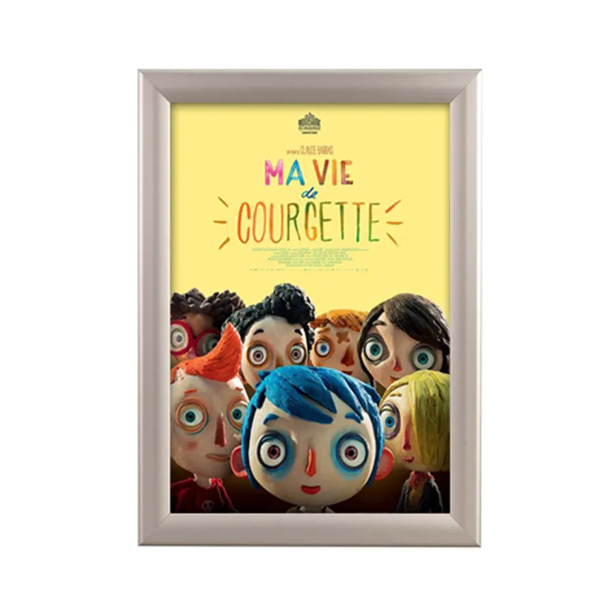 Cadre d'affichage